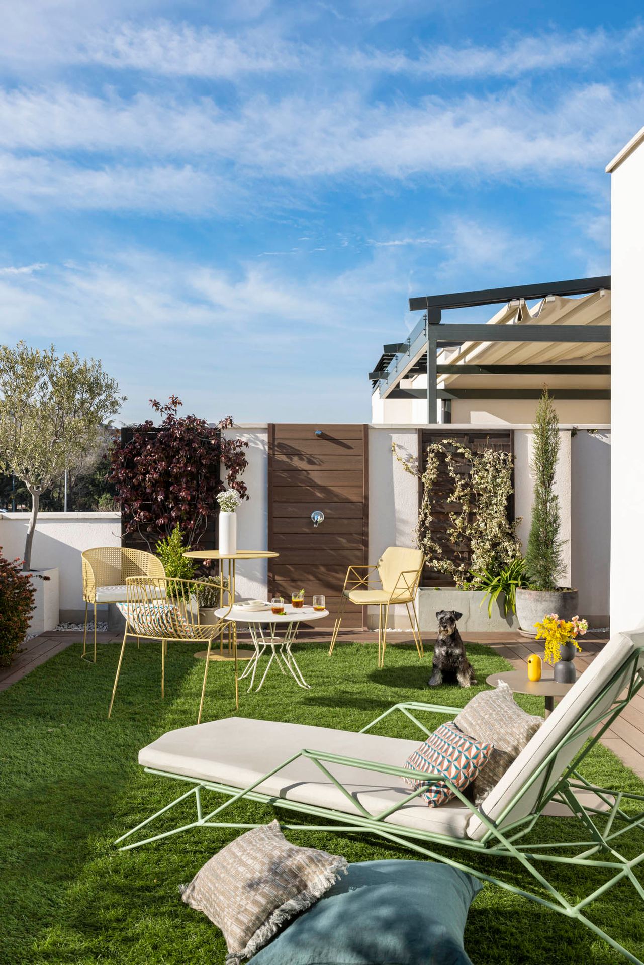 Terraza ajardinada con césped, olivo y tumbona